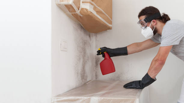 Professional Mold Remediation technician working in Yorktown, TX
